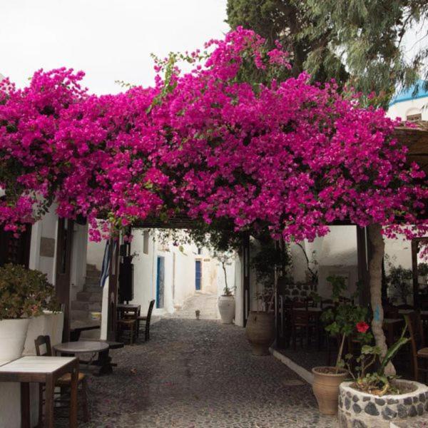 Villa Orpheus Santorini Megalochori  Dış mekan fotoğraf